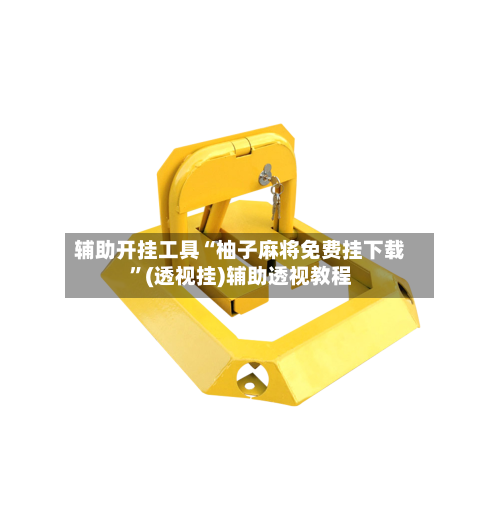 辅助开挂工具“柚子麻将免费挂下载	”(透视挂)辅助透视教程-第2张图片