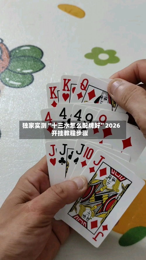 独家实测“十三水怎么配牌好”2026开挂教程步骤-第2张图片