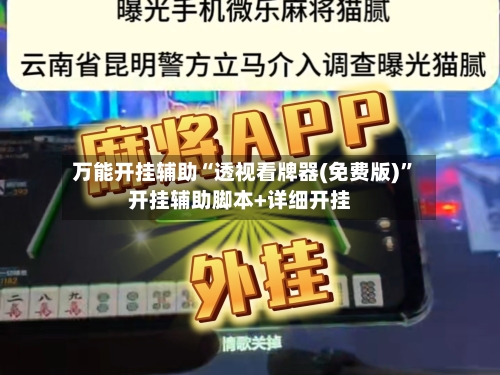 万能开挂辅助“透视看牌器(免费版)	”开挂辅助脚本+详细开挂-第2张图片