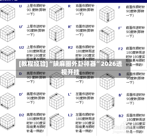 [教程经验]“陕麻圈外卦神器”2026透视开挂-第2张图片