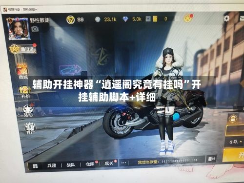 辅助开挂神器“逍遥阁究竟有挂吗”开挂辅助脚本+详细-第2张图片