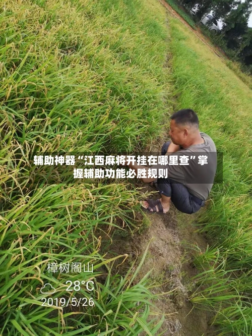 辅助神器“江西麻将开挂在哪里查	”掌握辅助功能必胜规则-第1张图片