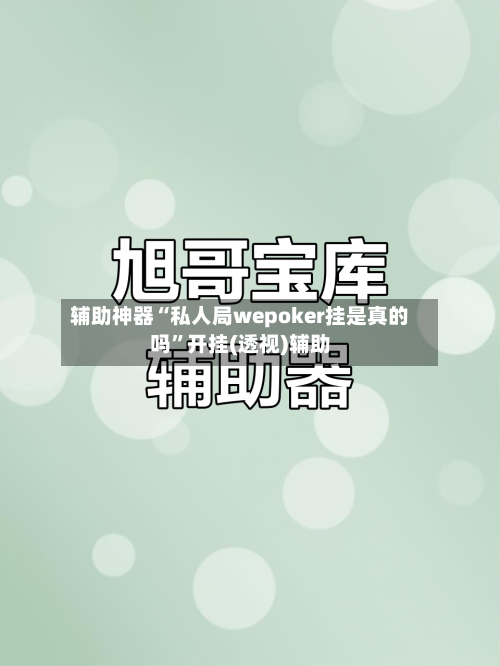 辅助神器“私人局wepoker挂是真的吗”开挂(透视)辅助-第2张图片