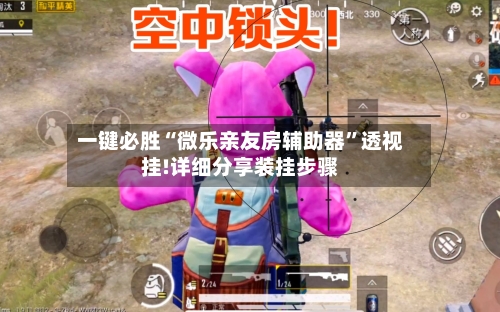 一键必胜“微乐亲友房辅助器”透视挂!详细分享装挂步骤-第3张图片