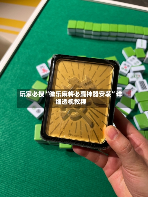 玩家必搜“微乐麻将必赢神器安装”详细透视教程-第1张图片