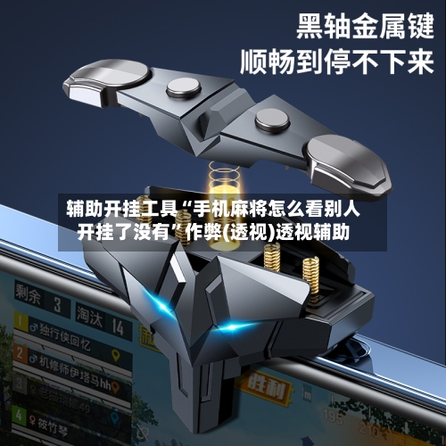 辅助开挂工具“手机麻将怎么看别人开挂了没有”作弊(透视)透视辅助-第2张图片