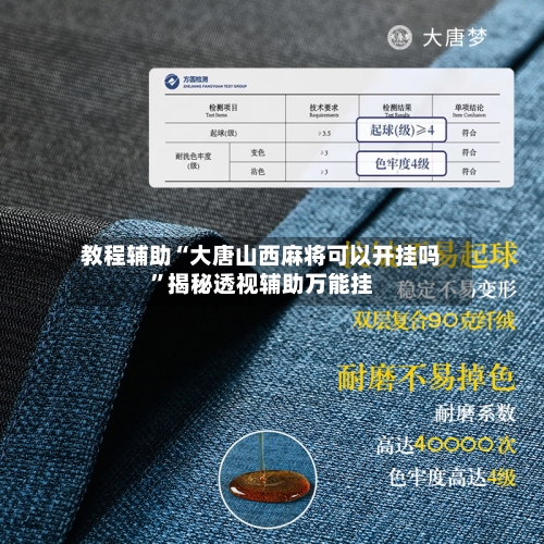 教程辅助“大唐山西麻将可以开挂吗”揭秘透视辅助万能挂-第3张图片