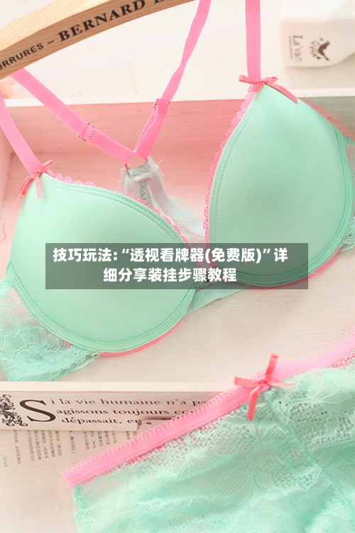 技巧玩法:“透视看牌器(免费版)”详细分享装挂步骤教程-第1张图片