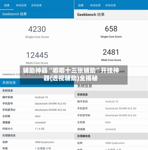 辅助神器“嘟嘟十三张辅助	”开挂神器{透视辅助}全揭秘-第2张图片