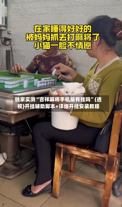 独家实测“吉祥麻将手机版有挂吗	”(透视)开挂辅助脚本+详细开挂安装教程-第3张图片