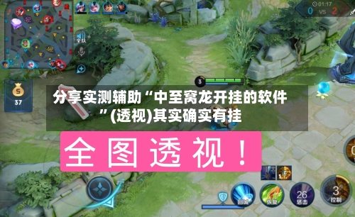 分享实测辅助“中至窝龙开挂的软件”(透视)其实确实有挂-第3张图片