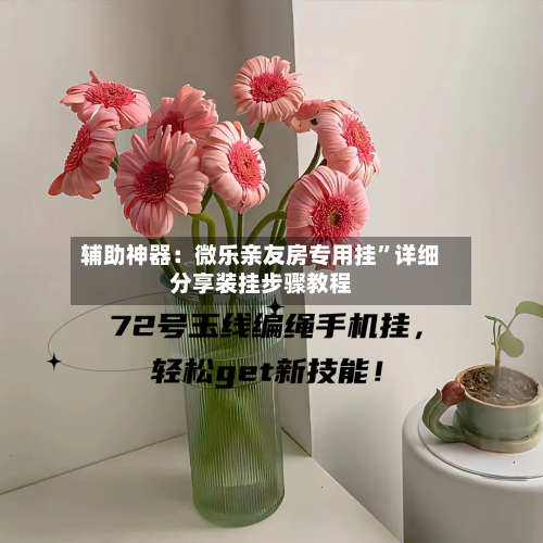 辅助神器：微乐亲友房专用挂	”详细分享装挂步骤教程-第3张图片