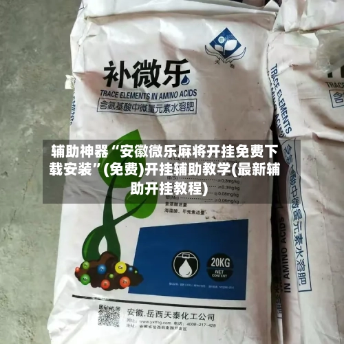 辅助神器“安徽微乐麻将开挂免费下载安装”(免费)开挂辅助教学(最新辅助开挂教程)-第3张图片