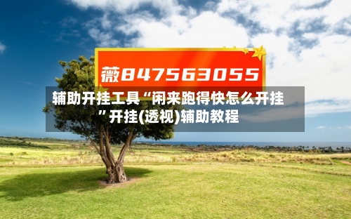 辅助开挂工具“闲来跑得快怎么开挂	”开挂(透视)辅助教程-第2张图片