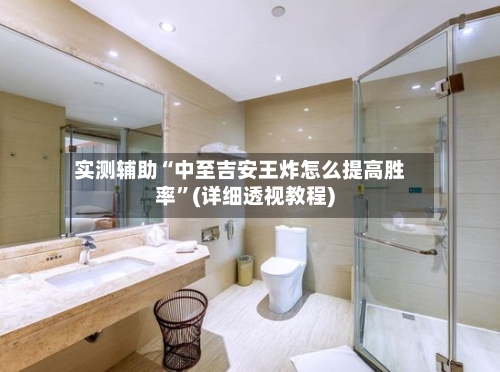 实测辅助“中至吉安王炸怎么提高胜率”(详细透视教程)-第1张图片