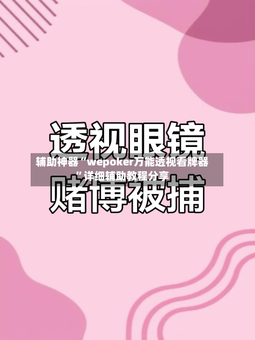 辅助神器“wepoker万能透视看牌器”详细辅助教程分享-第2张图片