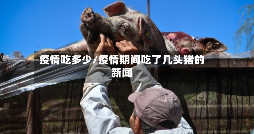 疫情吃多少/疫情期间吃了几头猪的新闻-第2张图片
