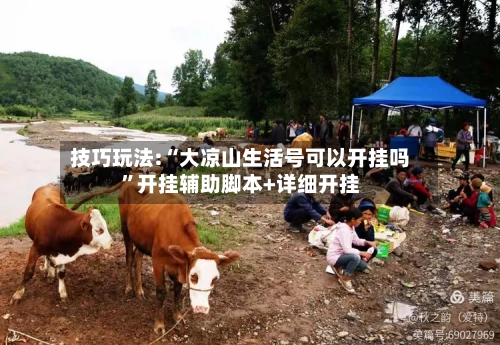 技巧玩法:“大凉山生活号可以开挂吗”开挂辅助脚本+详细开挂-第3张图片