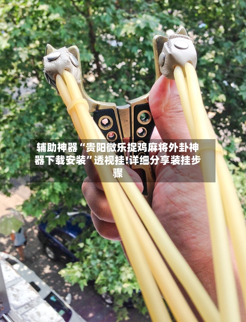 辅助神器“贵阳微乐捉鸡麻将外卦神器下载安装	”透视挂!详细分享装挂步骤-第1张图片