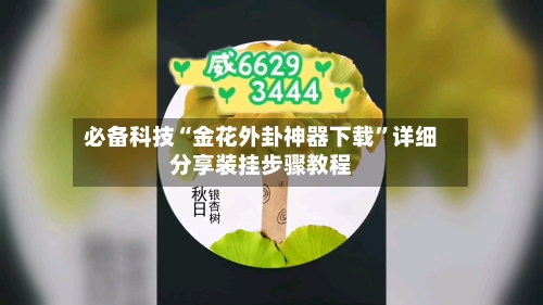 必备科技“金花外卦神器下载”详细分享装挂步骤教程-第1张图片