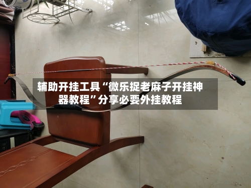 辅助开挂工具“微乐捉老麻子开挂神器教程”分享必要外挂教程-第3张图片