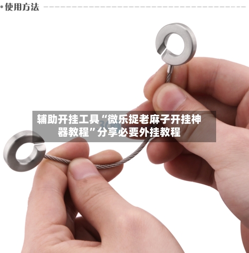 辅助开挂工具“微乐捉老麻子开挂神器教程”分享必要外挂教程-第2张图片