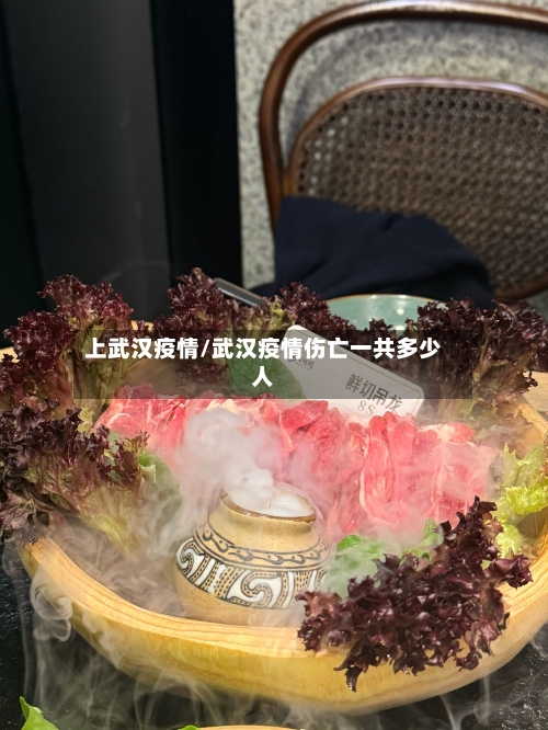 上武汉疫情/武汉疫情伤亡一共多少人-第3张图片