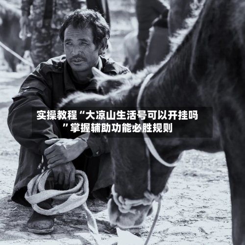 实操教程“大凉山生活号可以开挂吗”掌握辅助功能必胜规则-第1张图片