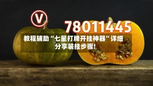 教程辅助“七星打牌开挂神器”详细分享装挂步骤!-第1张图片