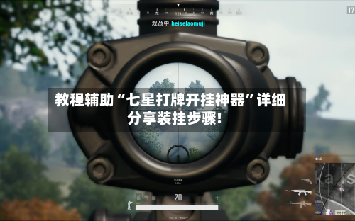 教程辅助“七星打牌开挂神器”详细分享装挂步骤!-第3张图片