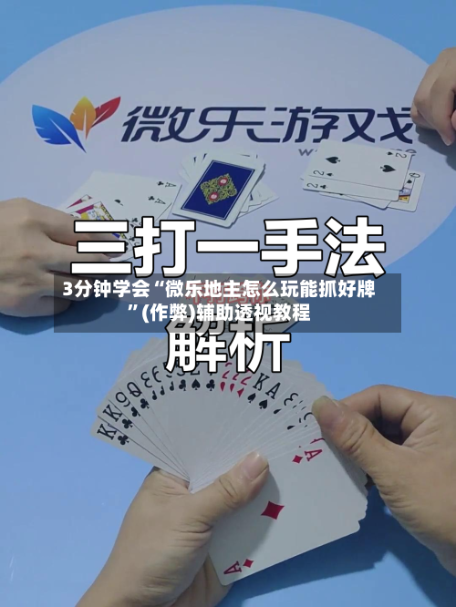 3分钟学会“微乐地主怎么玩能抓好牌”(作弊)辅助透视教程-第3张图片