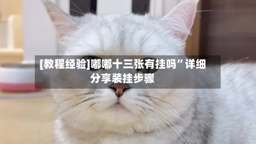 [教程经验]嘟嘟十三张有挂吗	”详细分享装挂步骤-第2张图片