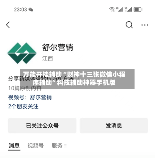 万能开挂辅助“财神十三张微信小程序辅助”科技辅助神器手机版-第2张图片