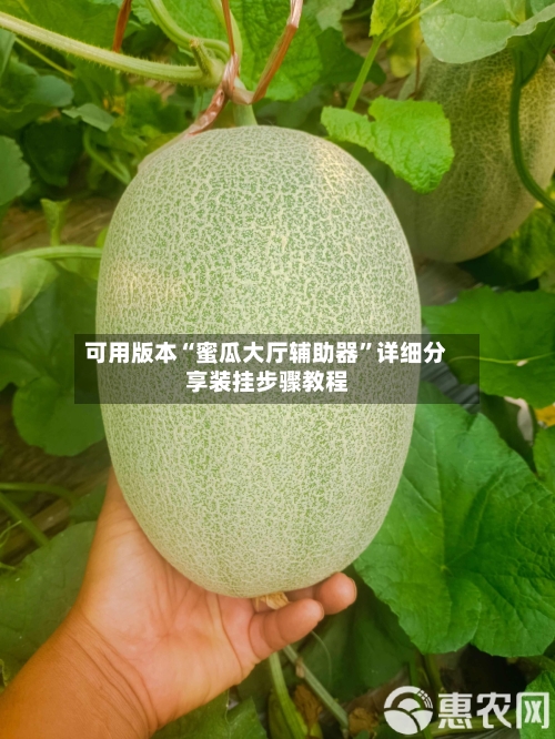 可用版本“蜜瓜大厅辅助器”详细分享装挂步骤教程-第1张图片