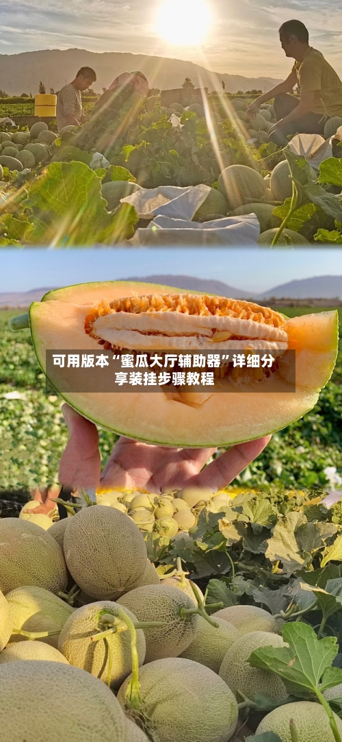 可用版本“蜜瓜大厅辅助器”详细分享装挂步骤教程-第3张图片