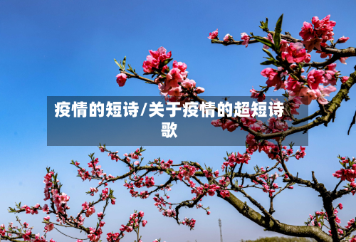疫情的短诗/关于疫情的超短诗歌-第3张图片