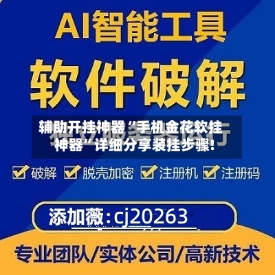 辅助开挂神器“手机金花软挂神器”详细分享装挂步骤!-第2张图片
