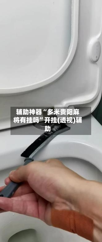 辅助神器“多米贵阳麻将有挂吗”开挂(透视)辅助-第2张图片