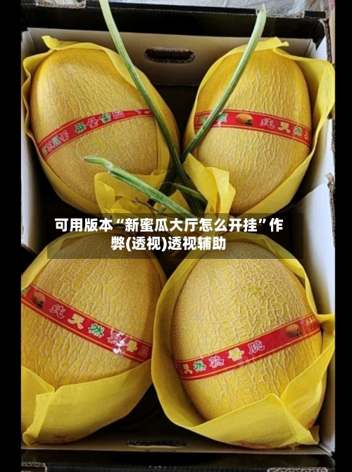 可用版本“新蜜瓜大厅怎么开挂	”作弊(透视)透视辅助-第2张图片