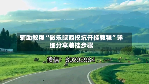 辅助教程“微乐陕西挖坑开挂教程”详细分享装挂步骤-第2张图片