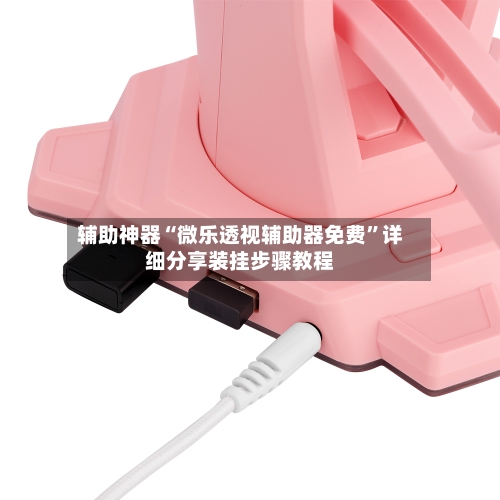 辅助神器“微乐透视辅助器免费	”详细分享装挂步骤教程-第2张图片