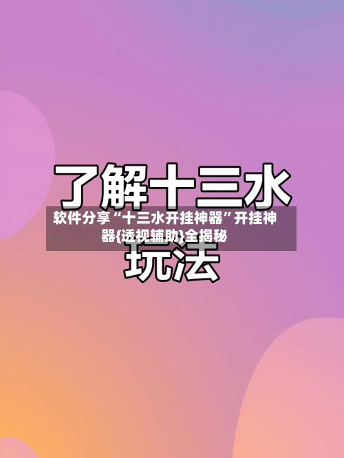 软件分享“十三水开挂神器”开挂神器{透视辅助}全揭秘-第3张图片