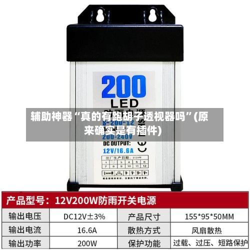 辅助神器“真的有跑胡子透视器吗	”(原来确实是有插件)-第3张图片