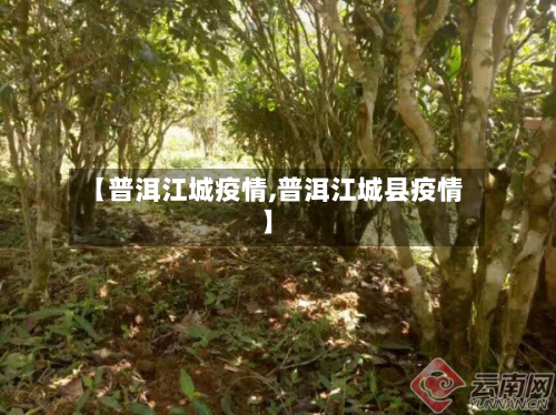 【普洱江城疫情,普洱江城县疫情】-第1张图片