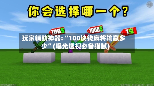玩家辅助神器:“100块钱麻将输赢多少	”(曝光透视必备猫腻)-第3张图片