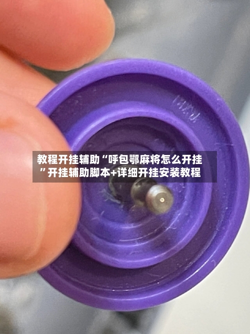教程开挂辅助“呼包鄂麻将怎么开挂”开挂辅助脚本+详细开挂安装教程-第2张图片