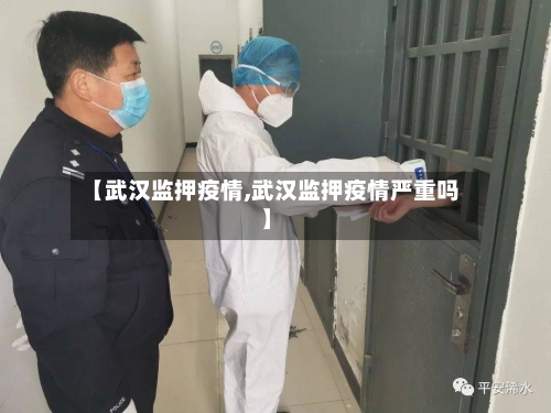 【武汉监押疫情,武汉监押疫情严重吗】-第2张图片
