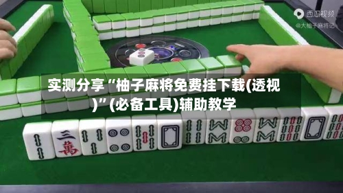 实测分享“柚子麻将免费挂下载(透视)”(必备工具)辅助教学-第3张图片