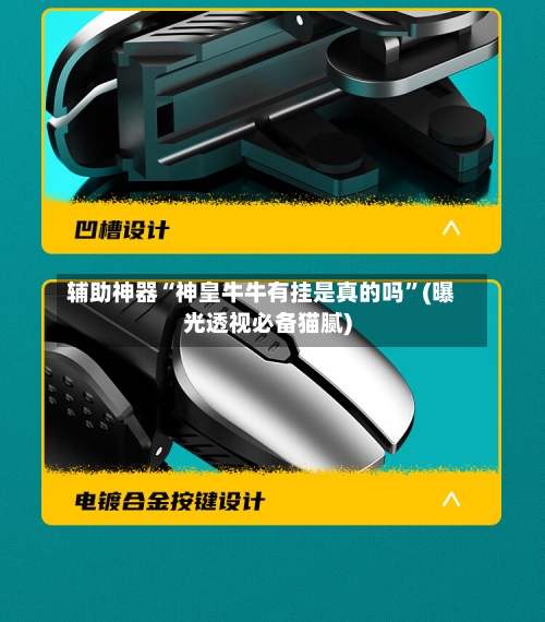 辅助神器“神皇牛牛有挂是真的吗”(曝光透视必备猫腻)-第2张图片