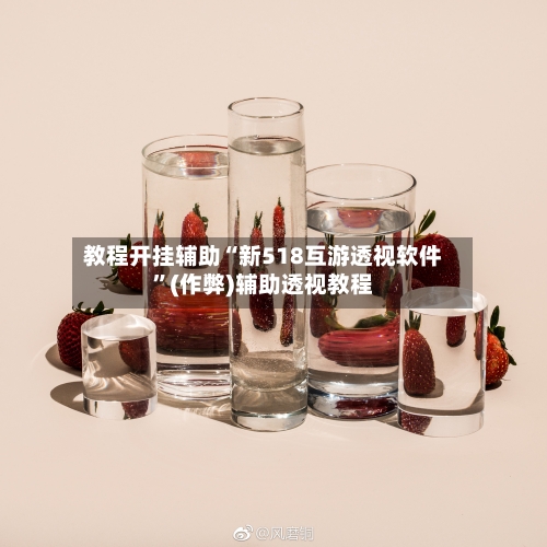 教程开挂辅助“新518互游透视软件	”(作弊)辅助透视教程-第1张图片